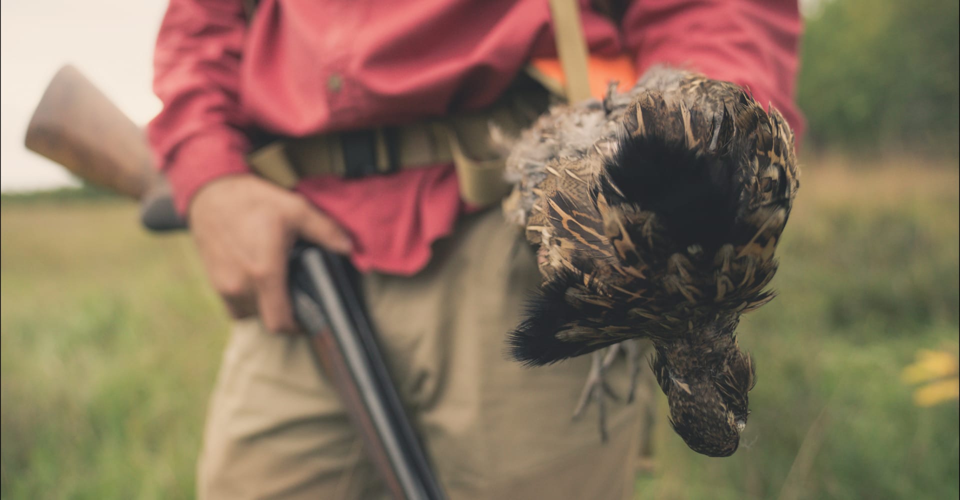the word sport in hunting