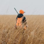 A first generation bird hunter in a field hunting for pheasant
